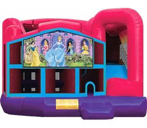 DISNEY PRINCESS 5 IN 1 COMBO - can be used wet or dry